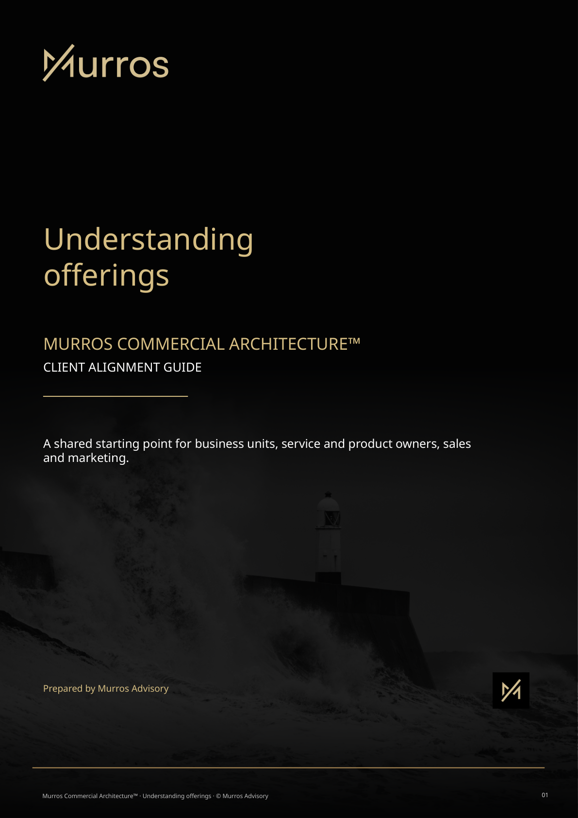 Murros Understanding offerings guide cover